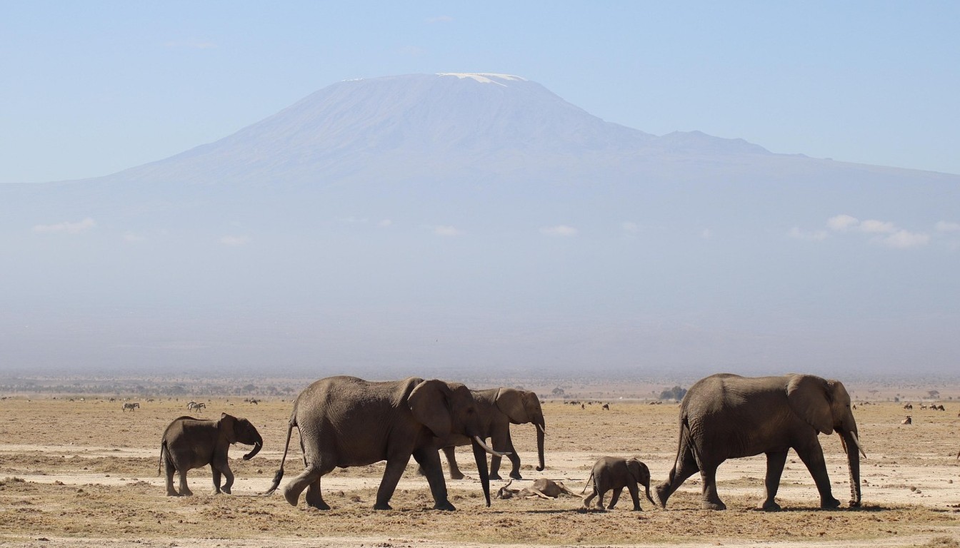Safari Karibuni 4 jours en Tanzanie - Photo paysage