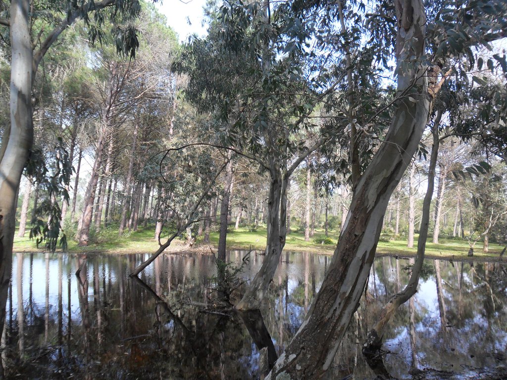 Parc national d'El Kala en Algérie - Photo
